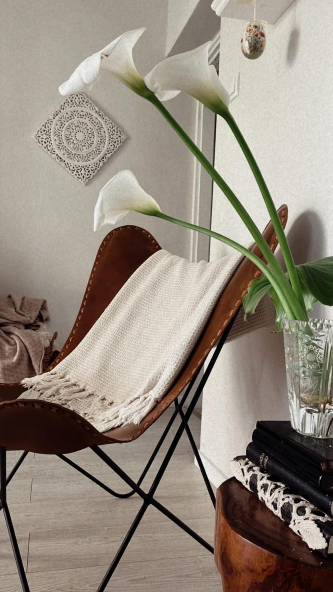 Appartamento House Of Rosalia Rovigno Esterno foto